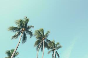 AI generated palm trees standing horizontally against the sky photo