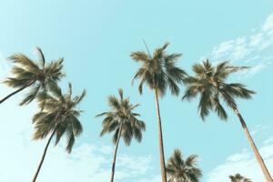 AI generated palm trees standing horizontally against the sky photo