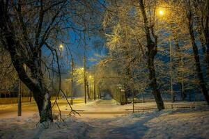 Night deserted city street in winter. Snowy trees, footpath, burning lanterns. Horizontal format. photo