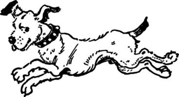 Dog Running, vintage illustration. vector