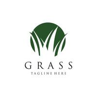 Grass logo design template vector illustration with creative idea