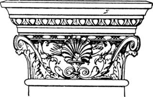 Corinthian Pilaster Capital, elements,  vintage engraving. vector