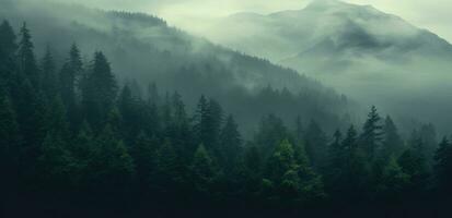 AI generated fog covers a mountain in a forest, photo