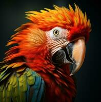 AI generated colorful parrot head portrait, photo