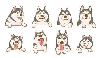 Cartoon siberian husky dog with various expressions vector