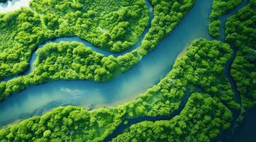 AI generated aerial view of a river flowing in middle of a forest, photo