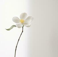 AI generated a simple white flower is isolated photo