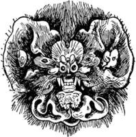 Chin Leafed Bat Head, vintage illustration. vector
