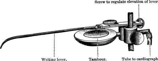 cardiógrafo Clásico ilustración. vector