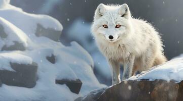 AI generated a white fox on snow in the background, photo