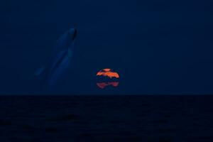 Red moon in the blue sky night. photo