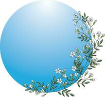 Illustration, Gypsophila flower with leaves on soft blue circle background. vector