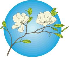 Illustration of the magnolia flower with leaves on blue circle background. vector