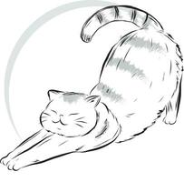 Illustration of cat doing exercise with circle on empty background. vector