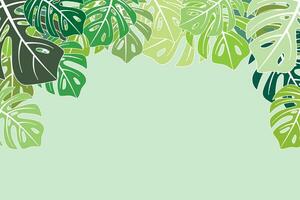 Illustration, Monstera leaves on soft green background. vector