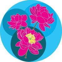 Illustration of pink peony flower with blue circle background. vector