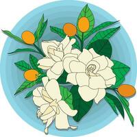 Illustration of Gerdenia or Cape jasmine flower with leaves on blue circle backgroud. vector