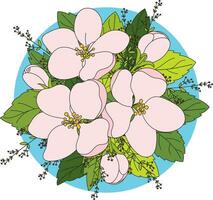 Illustration of pink flower with leaves on blue circle background. vector