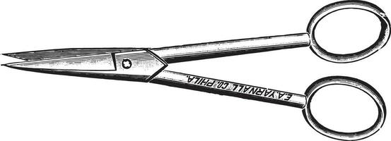 Scissors, vintage engraving. vector