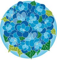 Illustration bouquet of the Blue Hydrengea flower with leaves on circle background. vector