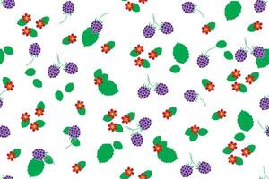 Illustration, pattern of raspberry with flower and leaf on white background. vector