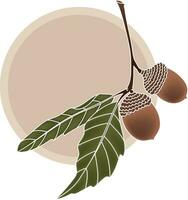 Illustration of oak fruit with leaves on soft brown circle background. vector