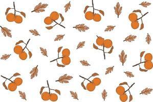 Illustration pattern of persimmon fruit with leaves on empty background. vector