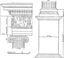 Ionic Order, vintage engraving. vector