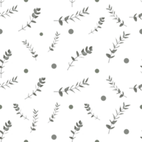 schön Illustration Muster mit farbig Eukalyptus Geäst und runden Punkte auf ein transparent Hintergrund. Elemente zum Ihre Design png