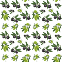 Beautiful illustration pattern with branches, leaves and olives in green and black colors. Can be used as part of your composition png