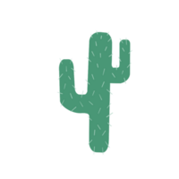 Illustration of a beautiful green prickly cactus on a transparent neutral background png