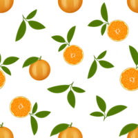 Beautiful colorful illustration, pattern, with citrus fruits, as well as a citrus fruit in section and with green leaves. Can be used as your design elements png