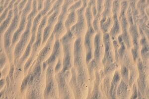 sand dunes texture photo