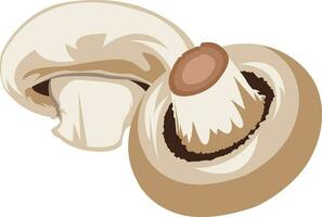 Light brown mushrooms vector illustration of vegetables on white background.