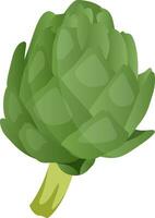 Green artichoke vector illustration of vegetables on white background.