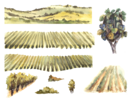 acquerello paesaggio con uva campi, vigne, vite cespugli, alberi, colline. costruttore montare te stesso, vinificazione modello, etichetta, carta. mano disegnare illustrazione png