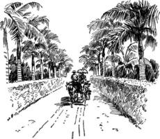 A Road in Honolulu, vintage illustration. vector