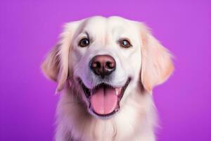 AI generated A close-up portrait of a golden retriever puppy on a purple background photo