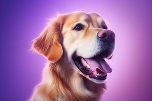 AI generated A close-up portrait of a golden retriever puppy on a purple background photo