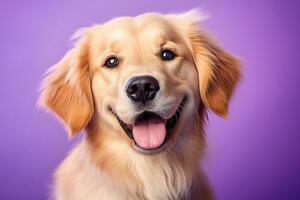 AI generated A close-up portrait of a golden retriever puppy on a purple background photo