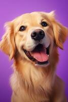 AI generated A close-up portrait of a golden retriever puppy on a purple background photo