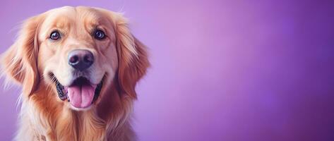 AI generated A close-up portrait of a golden retriever puppy on a purple background photo