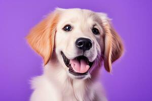 AI generated A close-up portrait of a golden retriever puppy on a purple background photo