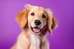 AI generated A close-up portrait of a golden retriever puppy on a purple background photo