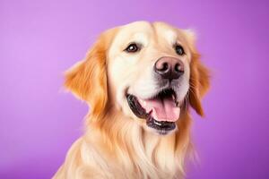 AI generated A close-up portrait of a golden retriever puppy on a purple background photo