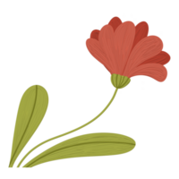 mano disegnato carino fiore illustrazione png