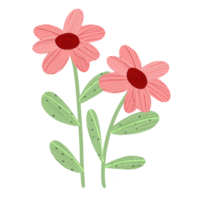 mano dibujado linda flor ilustración png