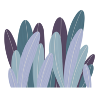 blue grass isolated png
