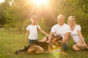 Portrait of an extended family with their pet dog sitting at the park photo