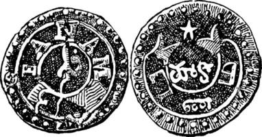 Obverse and Reverse Sides of Fanam of Madras, vintage illustration. vector